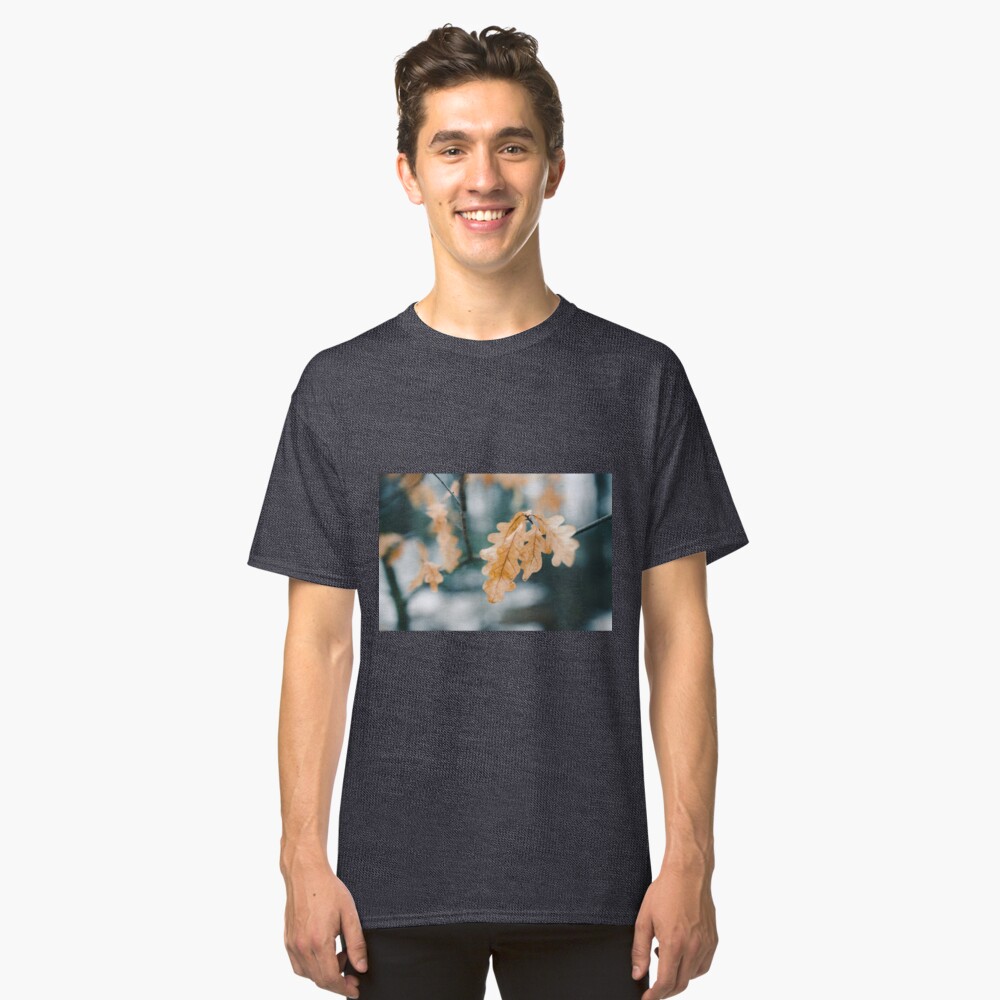 Dry yellow leaves in small oak tree Classic T-Shirt