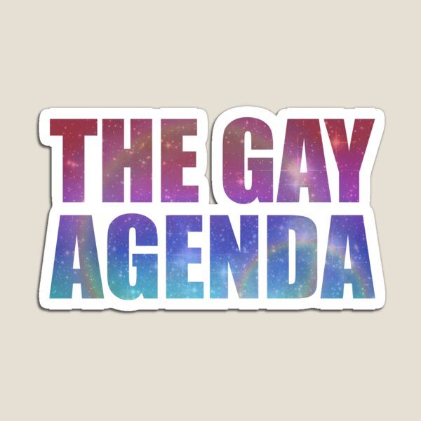 The Gay Agenda Magnet