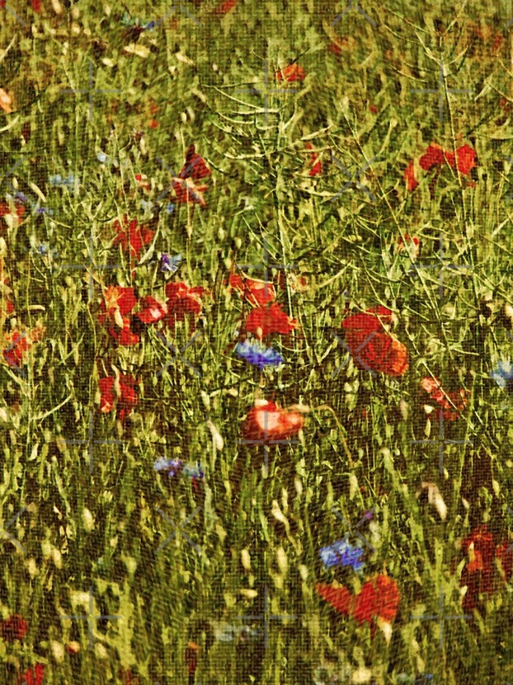 Sommerfeld mit roten und blauen Blumen von pASob-dESIGN