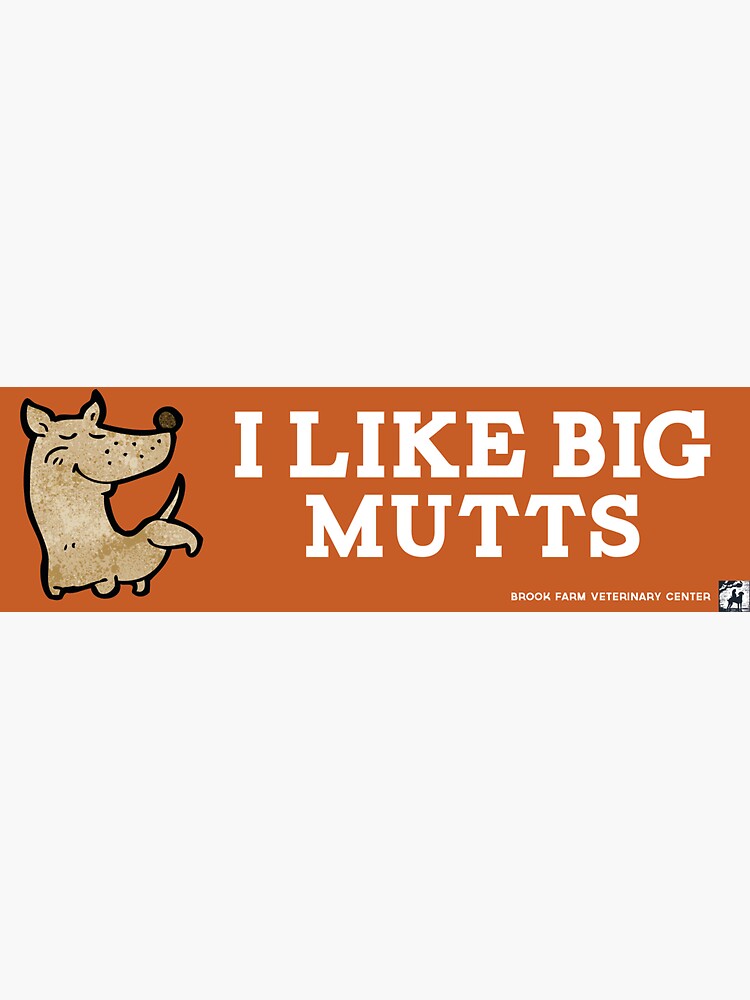 i like big mutts pillow