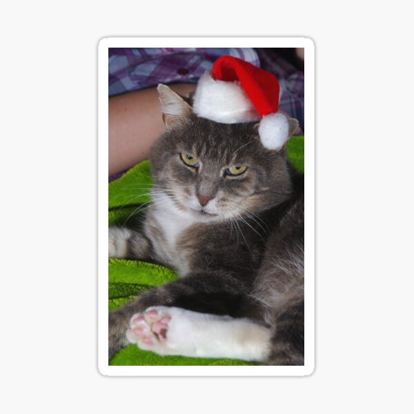 Santa Claws Sticker