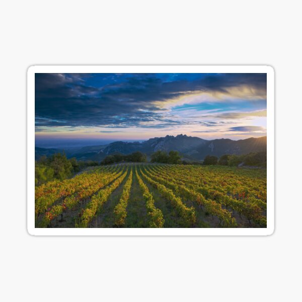 Item preview, French Vineyard at Sunset designed and sold by Bruce Alexander.