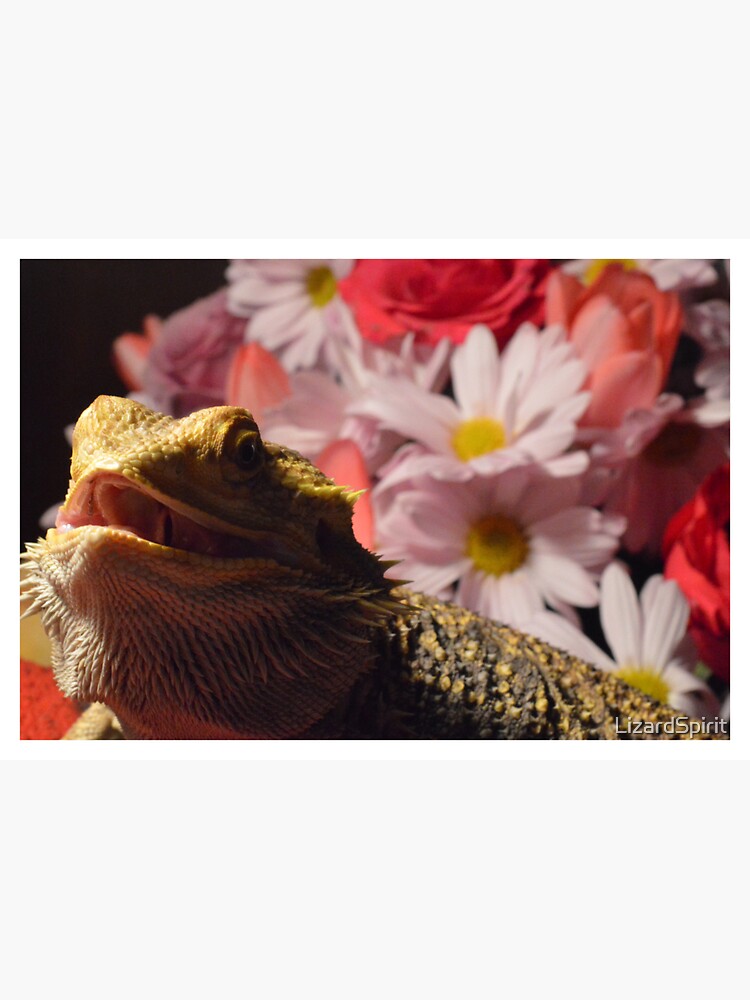 "Bearded Dragon Flowers" Sticker for Sale by LizardSpirit Redbubble
