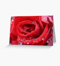Rose with raindrops Greeting Card