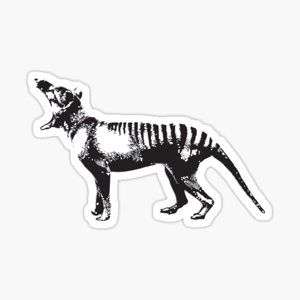 Tasmanian Tiger - Thylacine Sticker