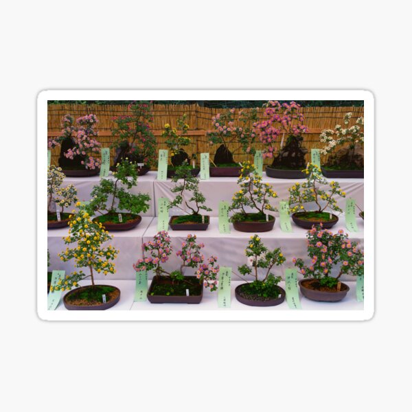 Shichi-Go-San Festival – Image 08, Japan Sticker