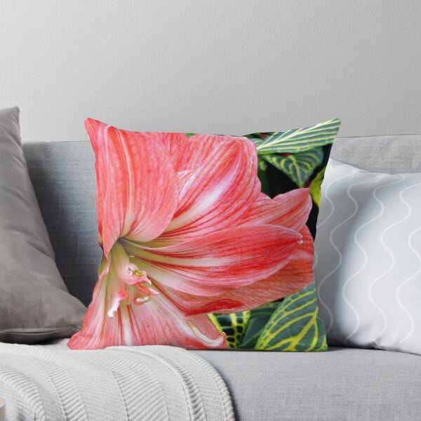 Item preview, Peeking Out designed and sold by Sandra Fortier.