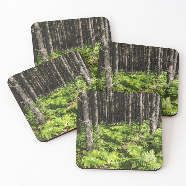 Item preview, Because Summer - Sun Dappled Ferns and Pine Trees designed and sold by Georgia Mizuleva.
