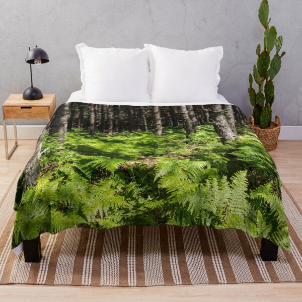 Item preview, Because Summer - Sun Dappled Ferns and Pine Trees designed and sold by Georgia Mizuleva.