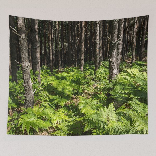 Item preview, Because Summer - Sun Dappled Ferns and Pine Trees designed and sold by Georgia Mizuleva.