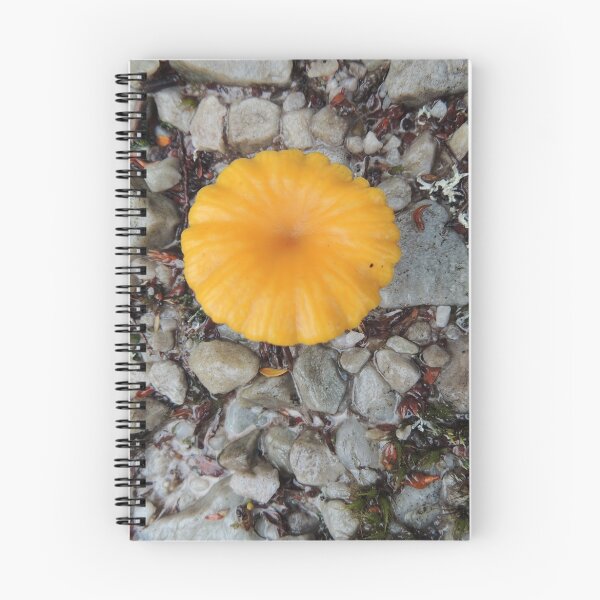Item preview, Single Yellow Fungi, Cradle Mountain, Tasmania, Australia. designed and sold by kaysharp.