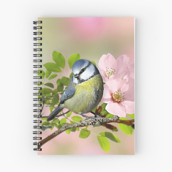 Artikelvorschau, Kleine Blaumeise auf Apfelblüte entworfen und verkauft von MoragBates.