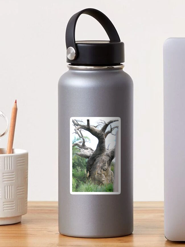 Thumbnail 1 of 3, Sticker, Tree designed and sold by Randi100.