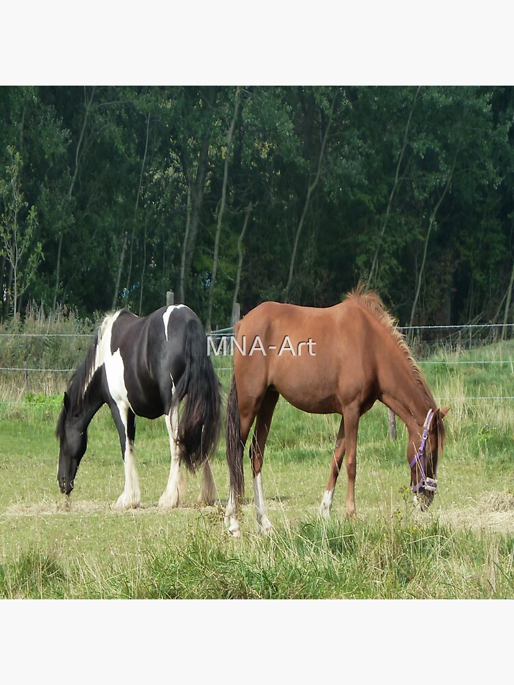 "Black and white and brown horse" Sticker by MNAArt Redbubble