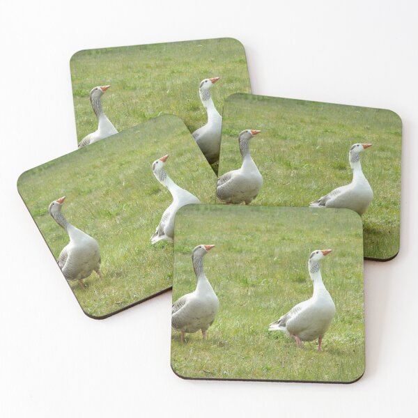 Item preview, Two Geese designed and sold by pinkal.