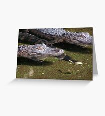 Alegator Greeting Card