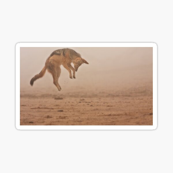 Flying in fog Sticker