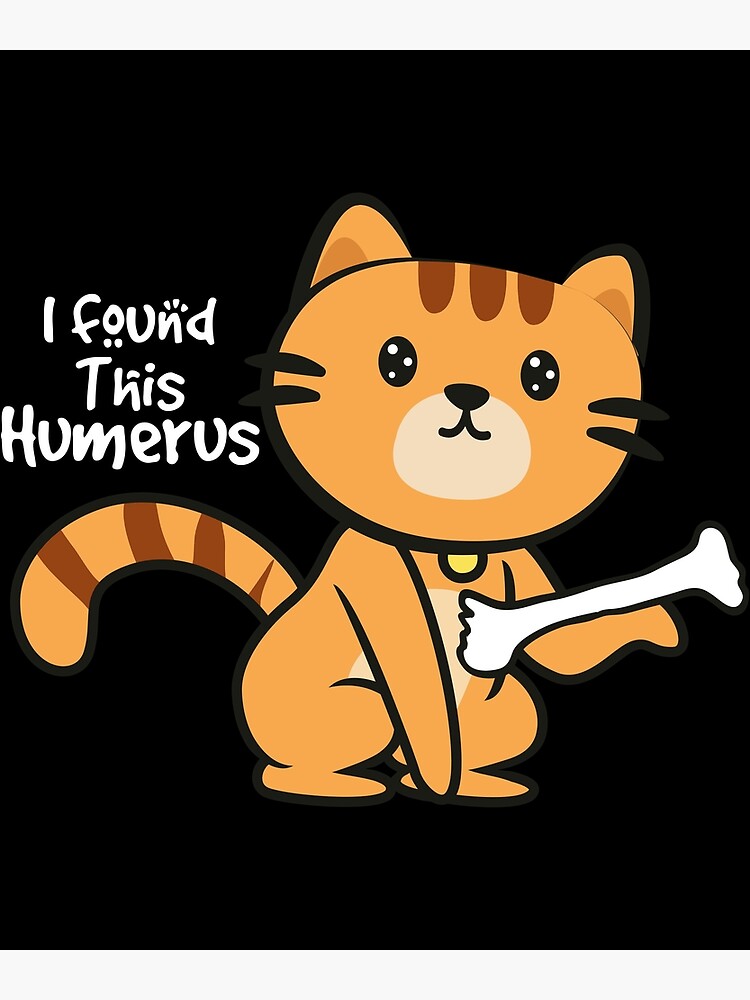Funny Cat With A Bone Pun graphic I Found This Humerus