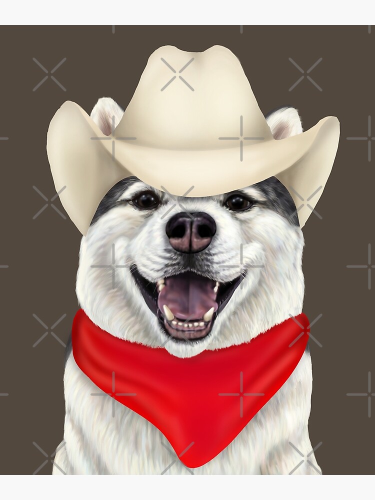 Cowboy husky - western dog 