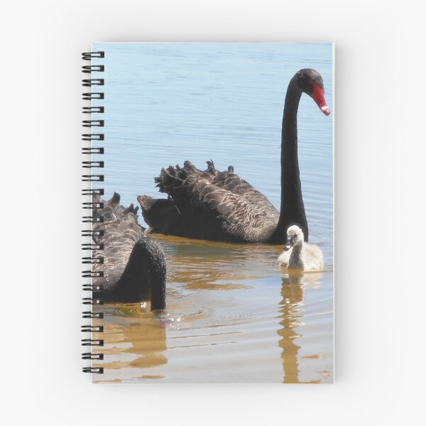Item preview, Working Family, Lake Ginninderra, A.C.T. Australia. designed and sold by kaysharp.