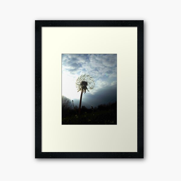 'Catching some rays' Framed Art Print