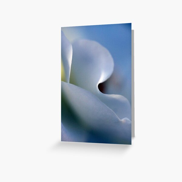 rose petal Greeting Card