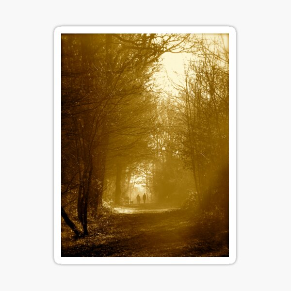 Walk in the Woods Sticker
