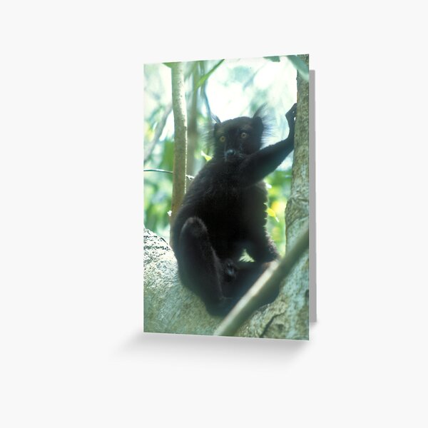 Black magic Greeting Card