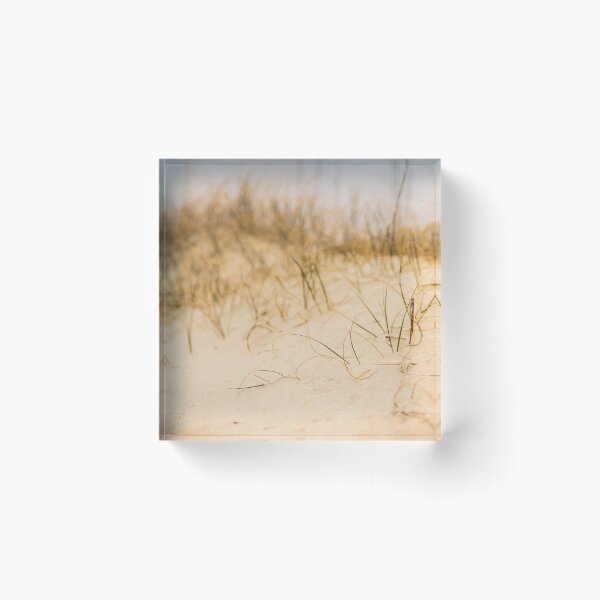 Item preview, Marram grass 3 designed and sold by KensLensDesigns.