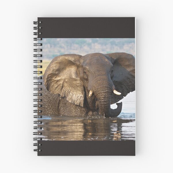 Item preview, Elephant ... Bronze Beauty designed and sold by Jensphotos.