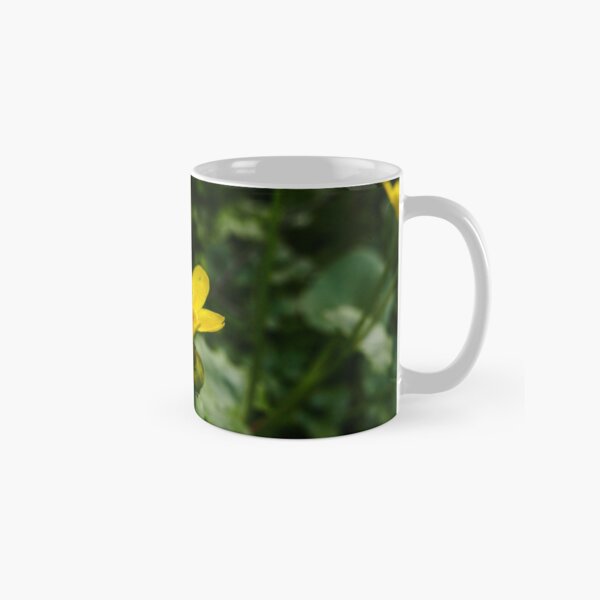 Marsh Marigold (Caltha palustris) Classic Mug
