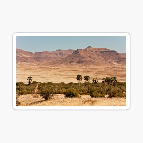 Giraffe's oasis view Sticker