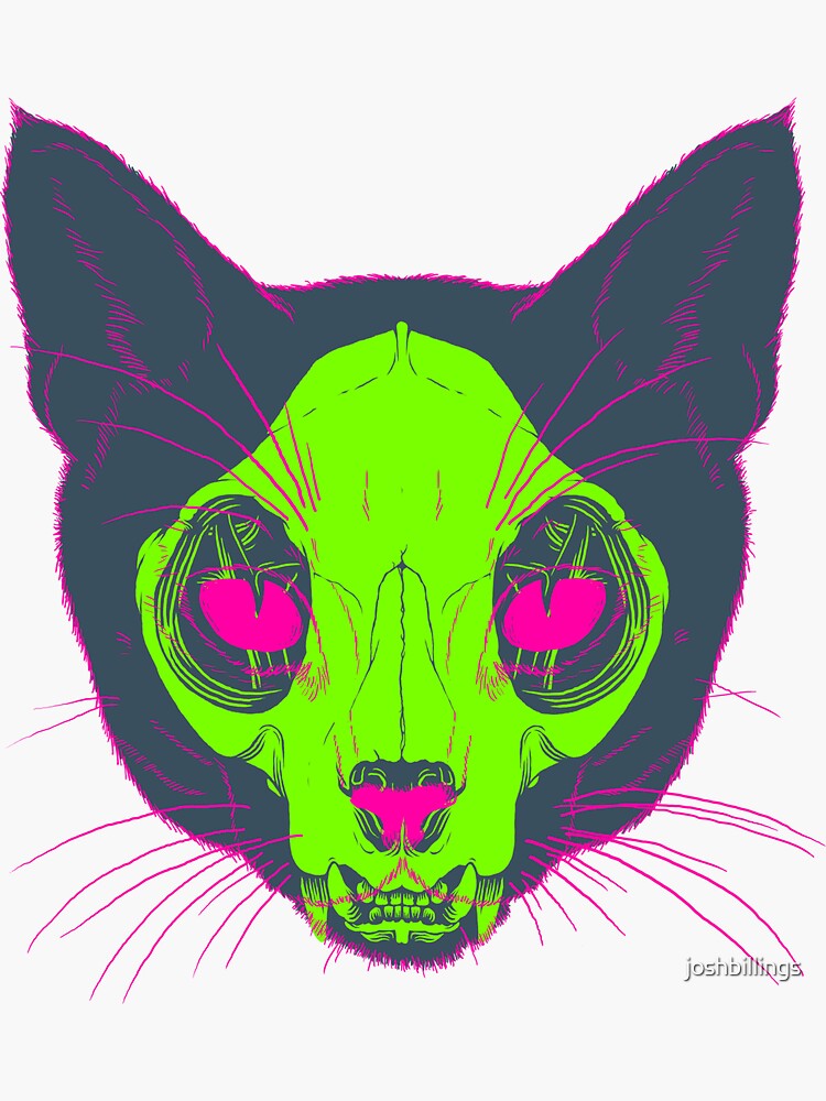 "Cat Xray" Sticker for Sale by joshbillings Redbubble