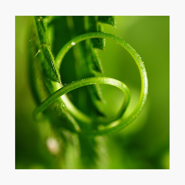 Hold Me Close Photographic Print