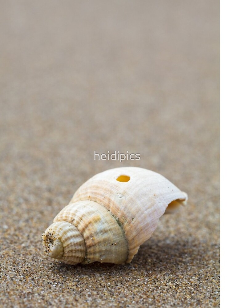 Thumbnail 4 of 4, iPhone Case, One Little Shell designed and sold by heidipics.