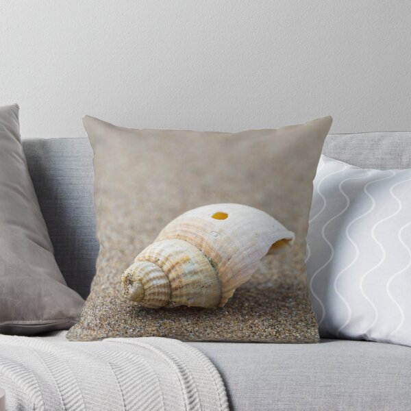 Item preview, One Little Shell designed and sold by heidipics.