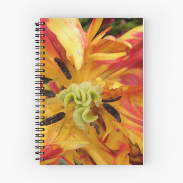 Item preview, Firey Swirls, Tulip, Canberra, Australia. designed and sold by kaysharp.