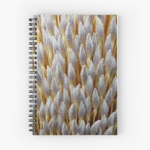 Item preview, Banksia, Illawarra Escarpment, NSW, Australia. designed and sold by kaysharp.