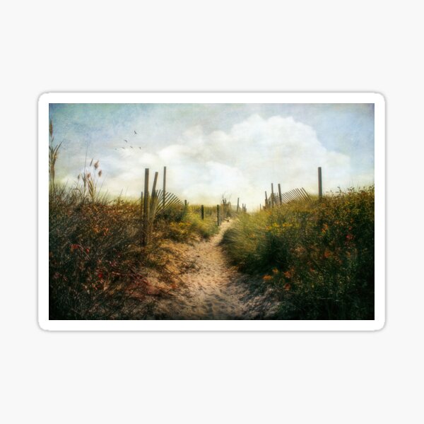 Item preview, Summer Pathway designed and sold by John Rivera.