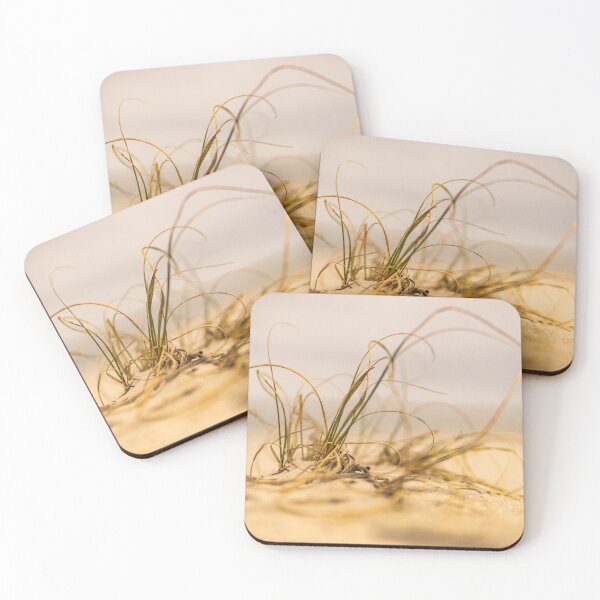 Item preview, Coastal grass 3 designed and sold by KensLensDesigns.