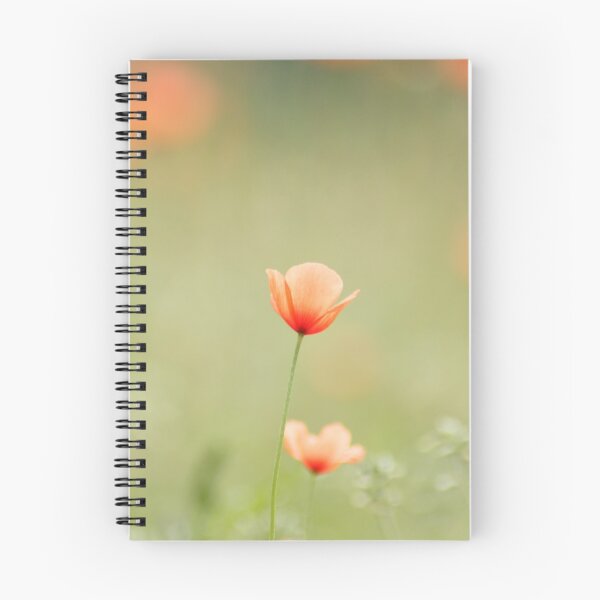 Item preview, Long-headed poppy designed and sold by hichako.