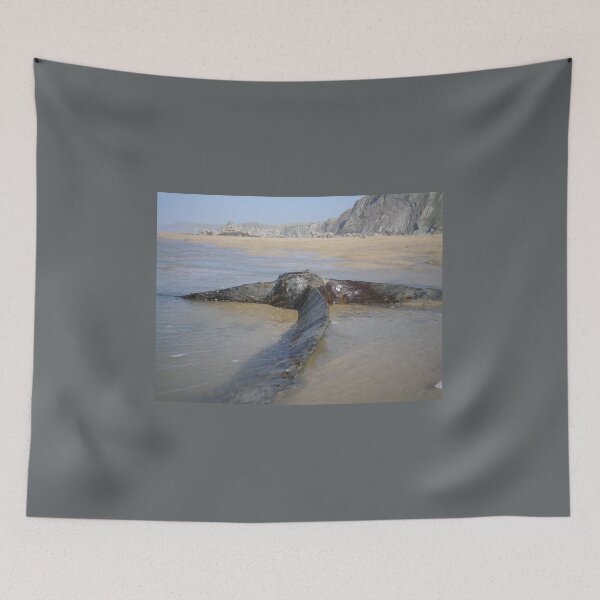 Item preview, SS BELEM SHIPWRECK SCREW PROPELLER CORNWALL designed and sold by Richard Brookes Photography.