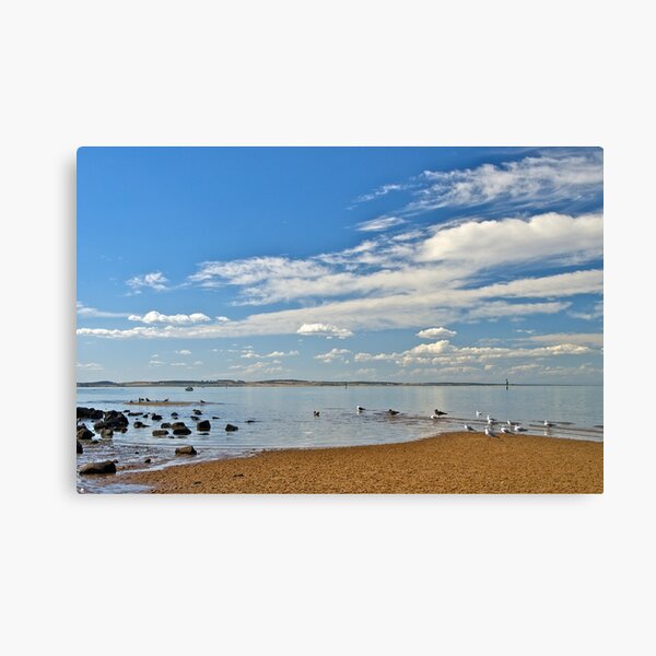 Item preview, Seagulls on a summer afternoon. designed and sold by johnrf.