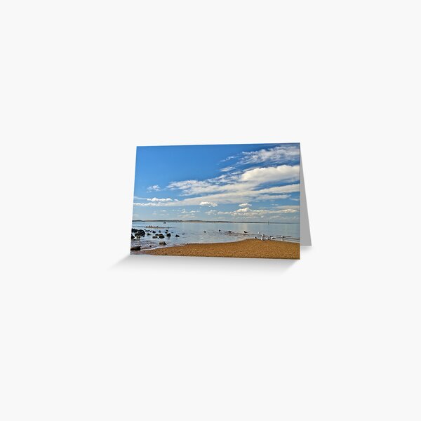 Item preview, Seagulls on a summer afternoon. designed and sold by johnrf.