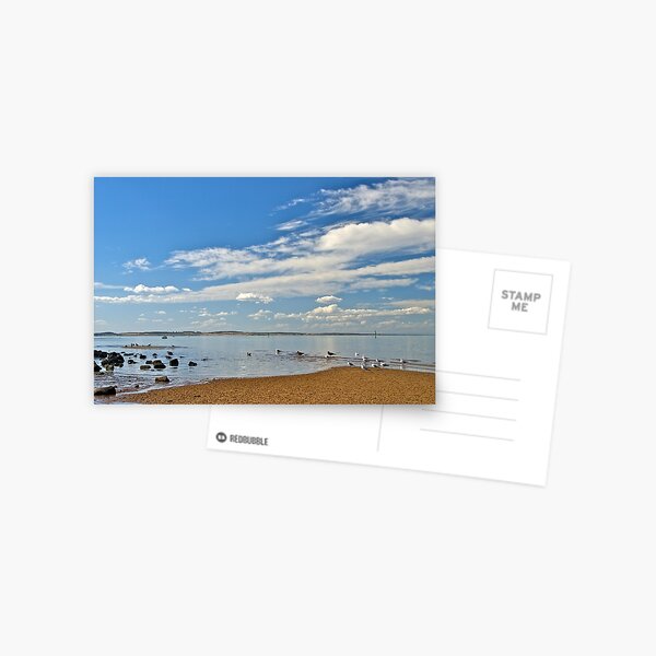 Item preview, Seagulls on a summer afternoon. designed and sold by johnrf.