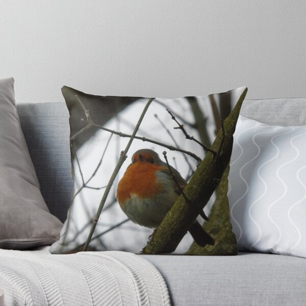 Item preview, Robin designed and sold by Britainsphotos.