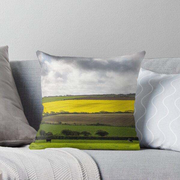 Item preview, Farmers Fields, Pembrokeshire designed and sold by heidipics.