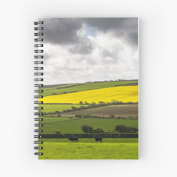 Item preview, Farmers Fields, Pembrokeshire designed and sold by heidipics.