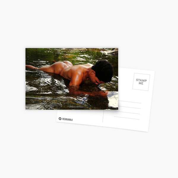 Wet reflection Postcard