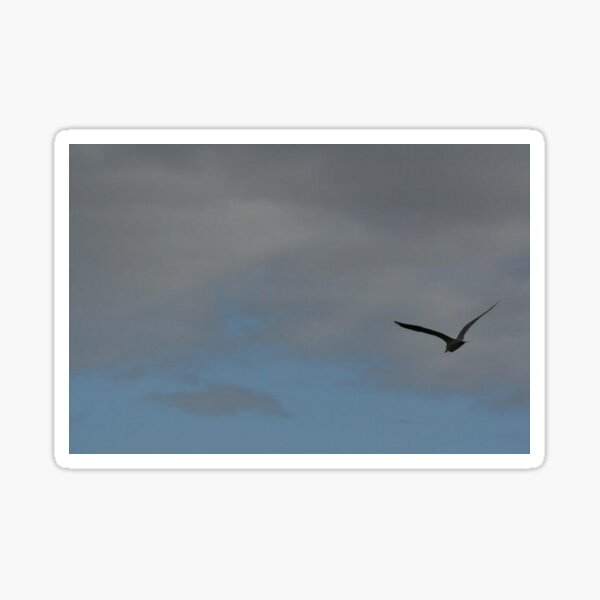 Item preview, Free as a bird designed and sold by MermaidMusic.